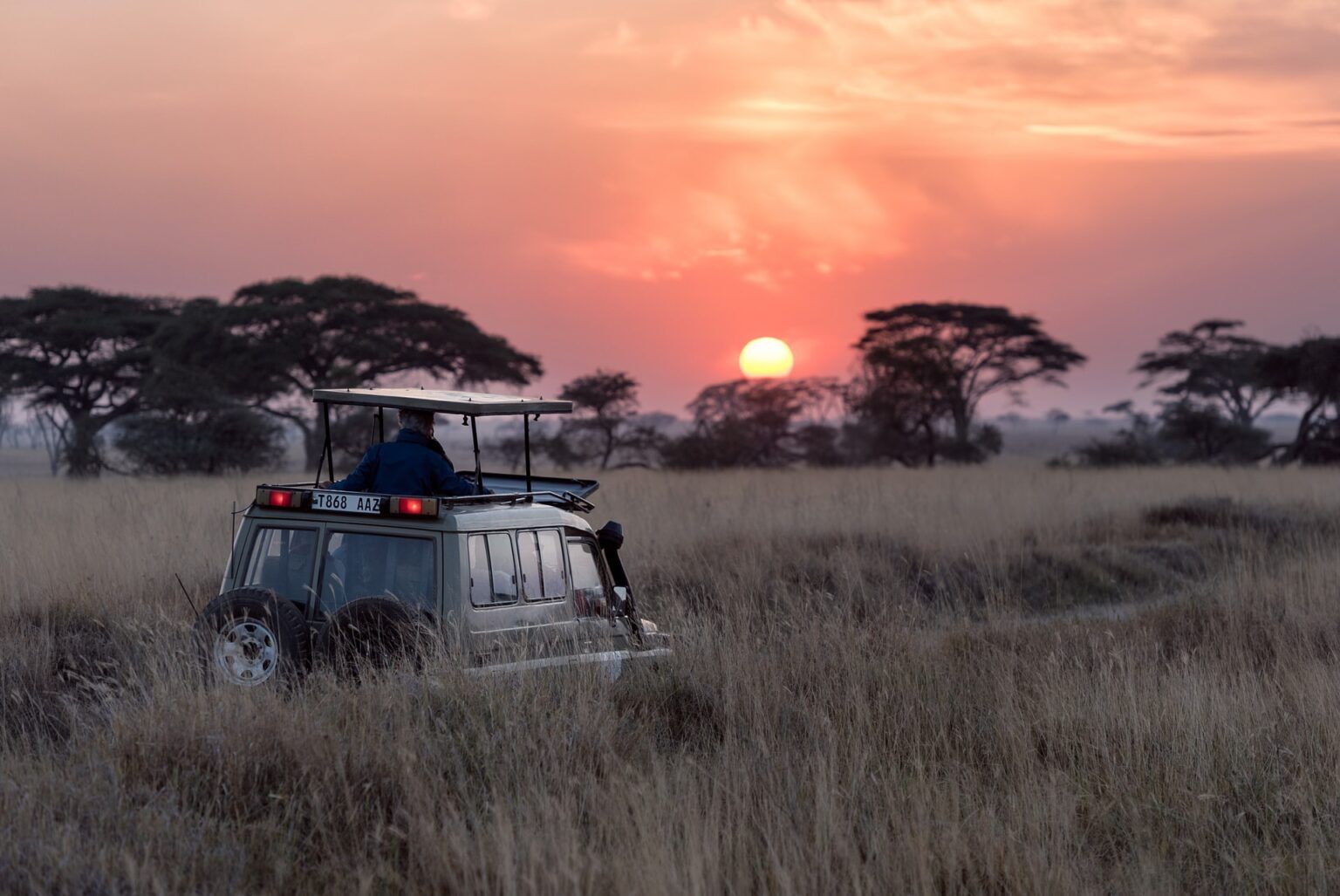 Die besten Orte für deinen Safari-Urlaub