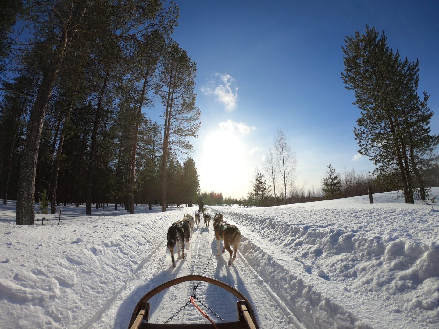 Die schönsten Aktivitäten in Lappland