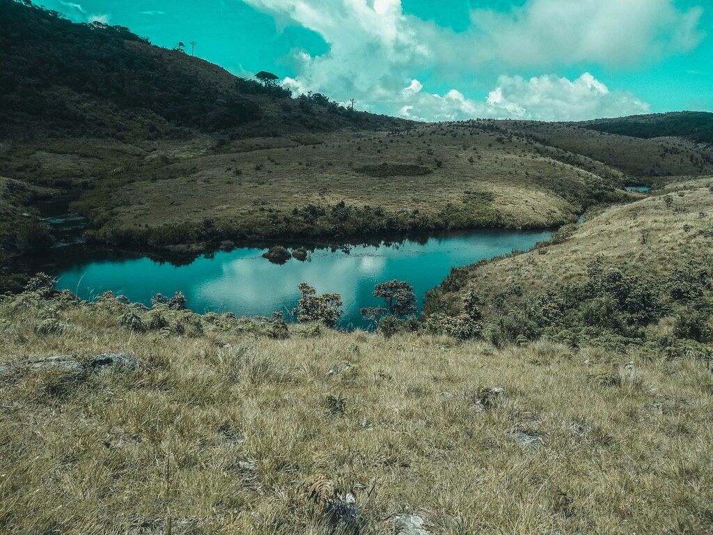 Ein Teich inmitten einer Wiese