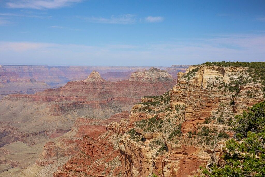 Ein Blick auf den Grand Canyon vom Rand einer Klippe aus