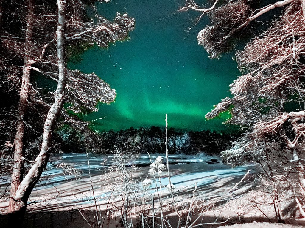 Grüne Polarlichter am Himmel über einer verschneiten Waldlandschaft