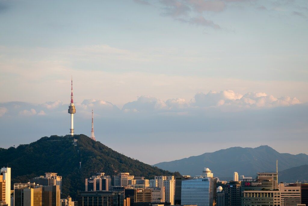 Ein Fernsehturm auf einem bewaldeten Hügel erhebt sich über die Skyline einer modernen Stadt