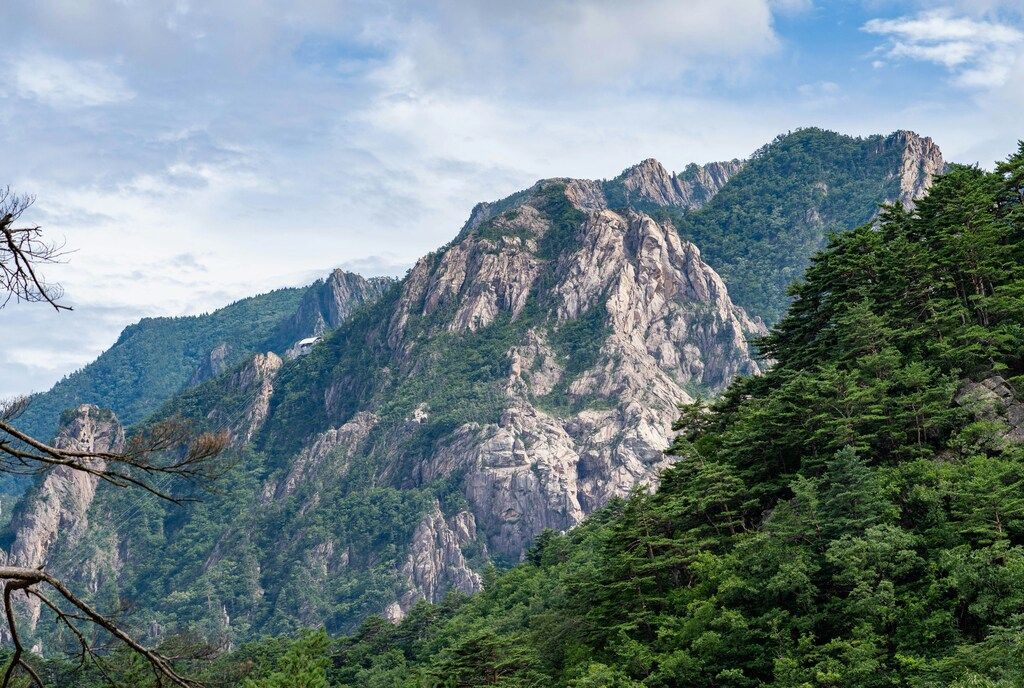 Hohe, felsige Berge mit dicht bewaldeten Hängen: Südkoreas Sehenswürdigkeiten