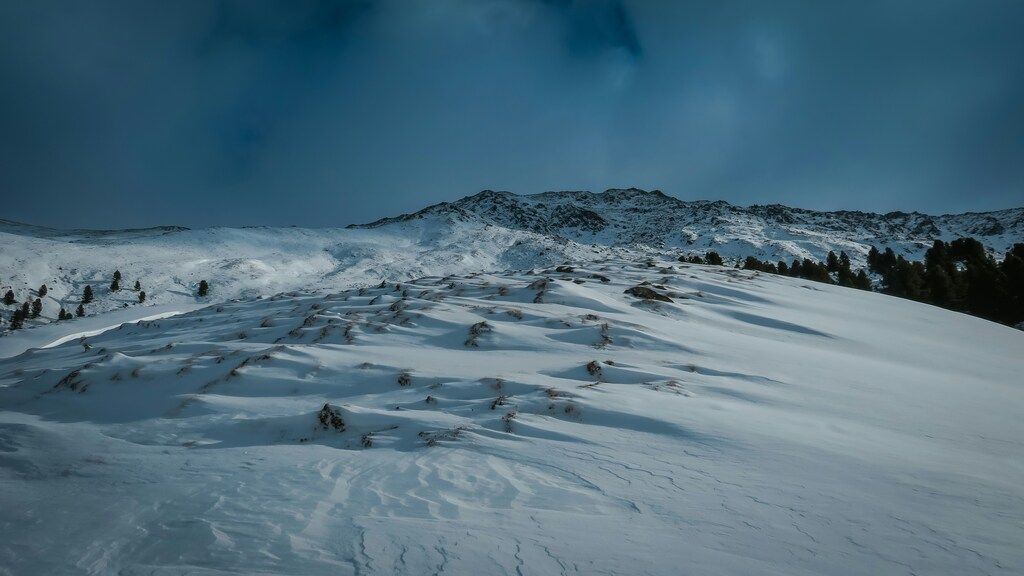 Schneebedeckte Berghänge unter bewölktem Himmel, mit vereinzelten Bäumen im Hintergrund: Alpenwanderung