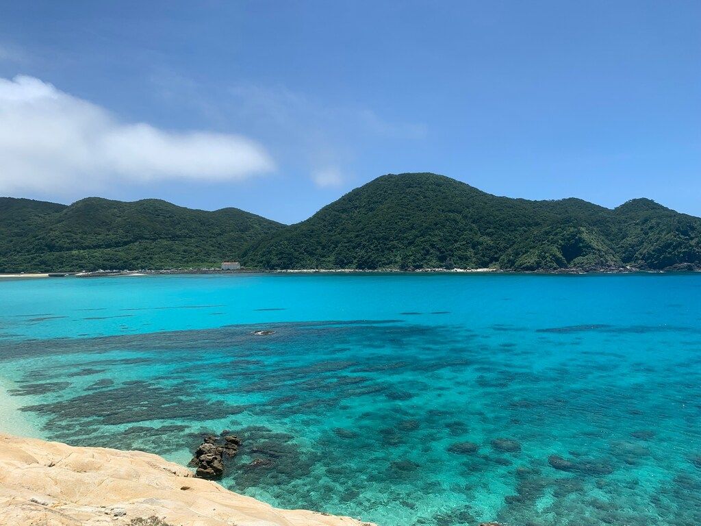 Person, die am Strand sitzt und auf den blauen Ozean schaut