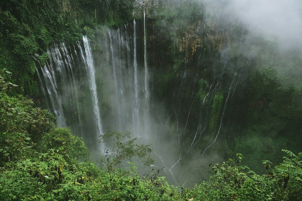 Kaskadenartige Wasserfälle in grüner, pflanzenbewachsener Schlucht