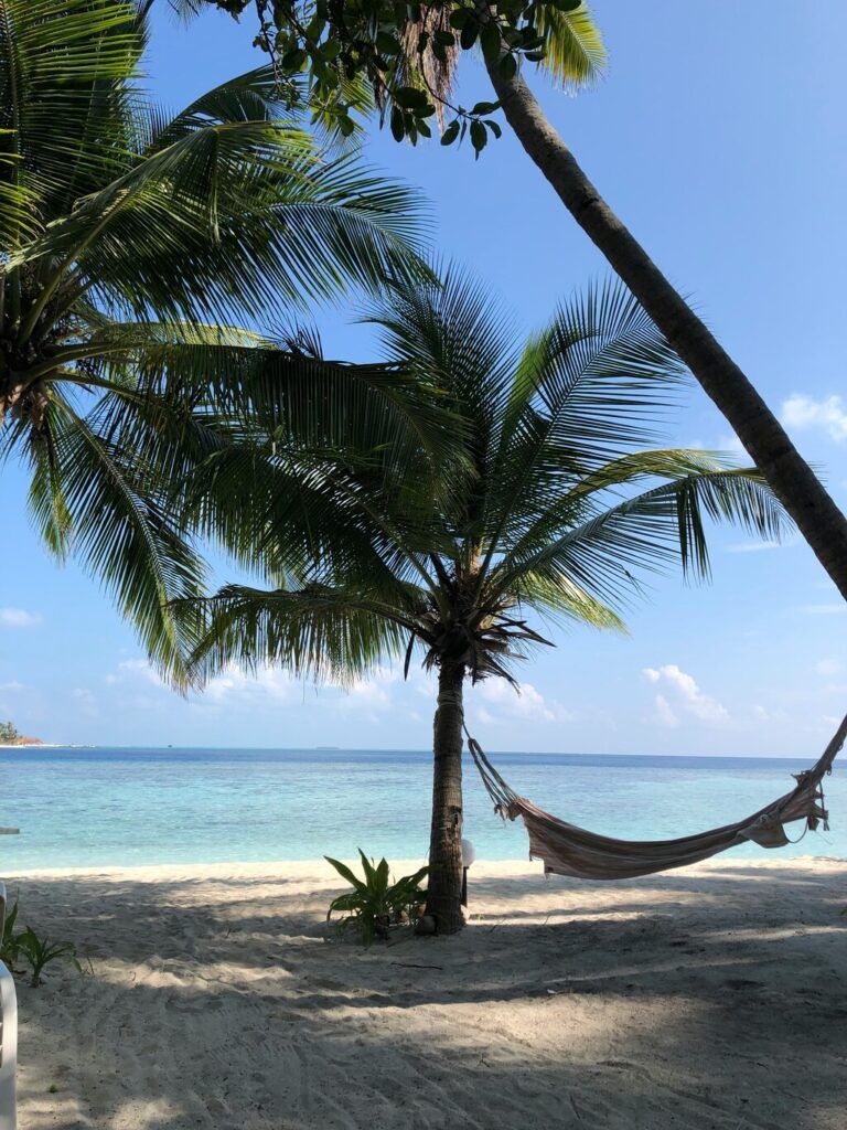 Tropischer Strand mit Palmen und einer Hängematte, Blick auf das ruhige blaue Meer