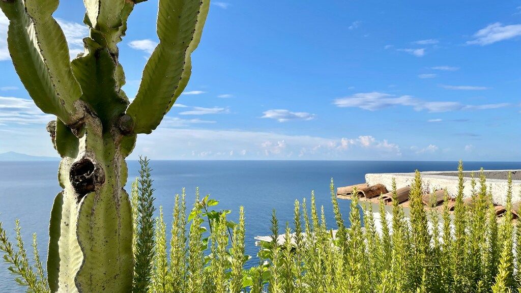 Bunte Häuser am Hang von Positano mit Blick auf das blaue Meer