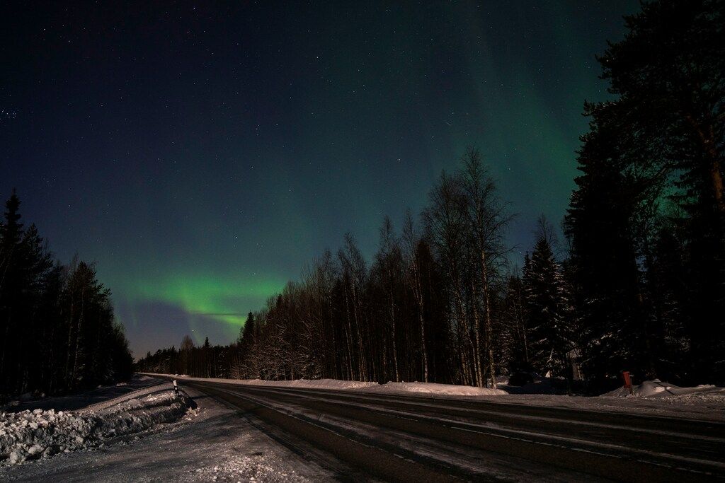 Grüne Nordlichter leuchten über einer dunklen, verschneiten Straße und Wald.