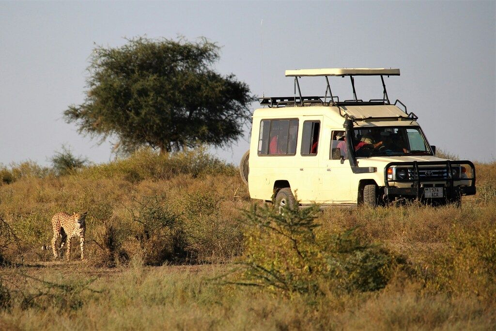 Weißer Geländewagen in der Nähe eines Baumes bei Tag