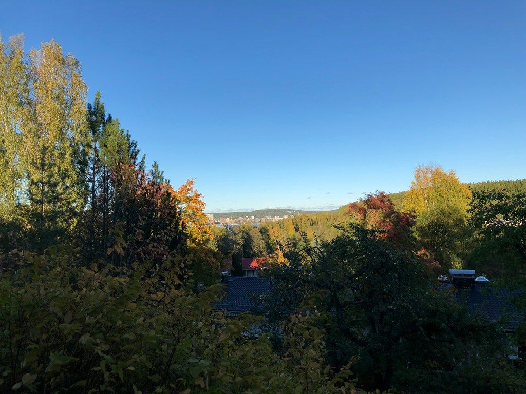 Blick auf eine herbstliche Landschaft mit leuchtenden Bäumen und klarem Himmel.