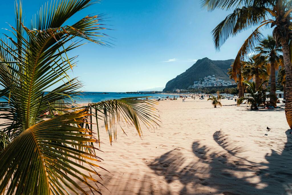 Palmenstrand von Las Teresitas in Santa Cruz de Tenerife, eine der bekanntesten Strände der Insel.