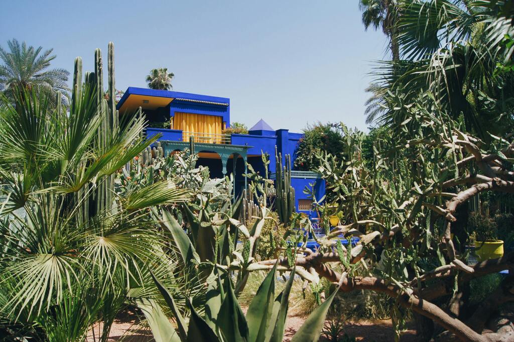 Majorelle-Garten in Marrakesch mit exotischen Pflanzen und blauen Gebäuden.