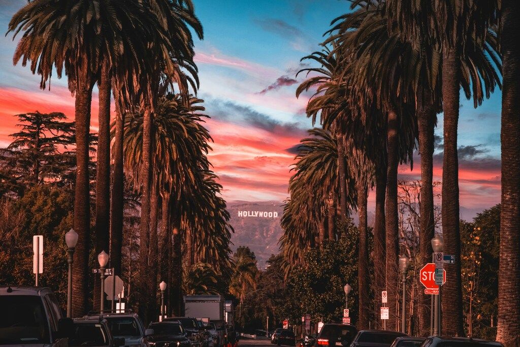 Straße mit Palmen und Blick auf das berühmte Hollywood-Zeichen bei Sonnenuntergang.