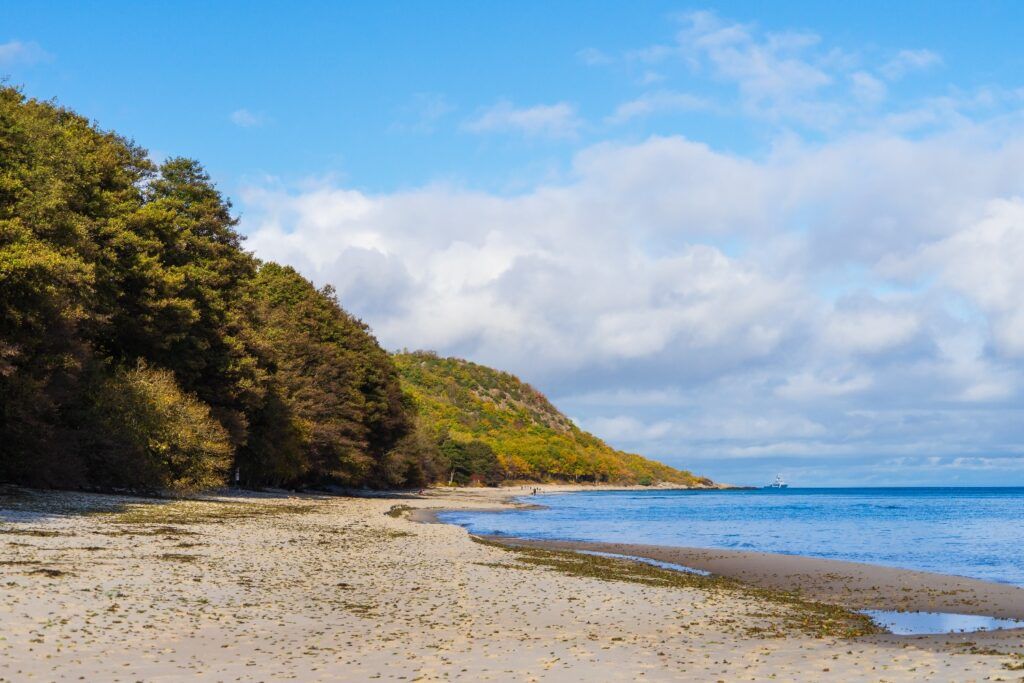 Breiter Sandstrand und flache Küstenlinie am Stenshuvud Nationalpark mit bewaldetem Hügel.