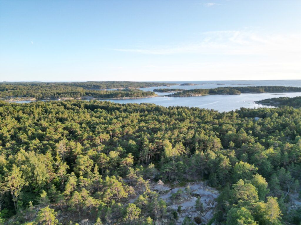 Drohnenaufnahme: Dichte Nadelwälder auf unzähligen Schäreninseln vor dem weiten Meer.