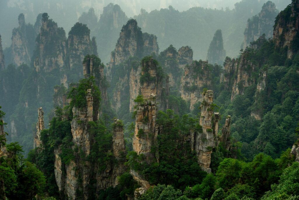 Die Sandsteinpfeiler des Zhangjiajie Nationalparks (Avatar-Berge) im Nebel.